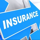 Insurance Agent